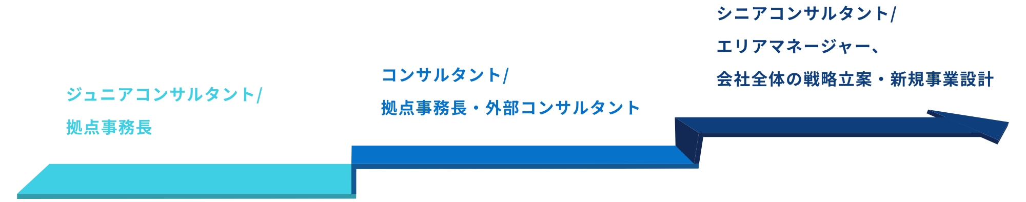 ステップ図